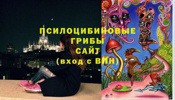 соль ск Куйбышев