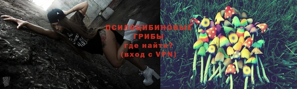соль ск Куйбышев
